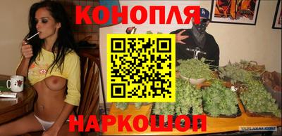 spice Обь